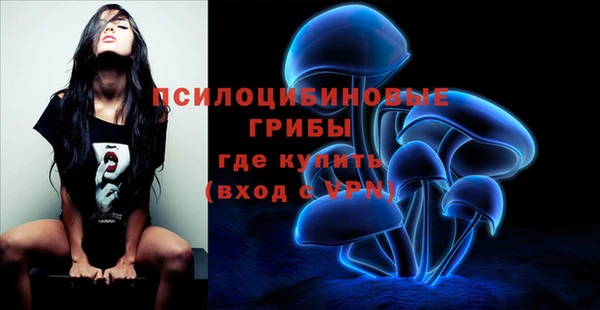 индика Нефтекумск