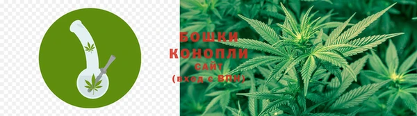 индика Нефтекумск