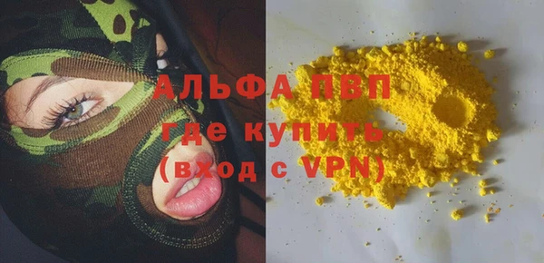 индика Нефтекумск