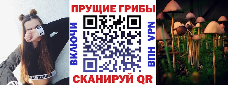 Псилоцибиновые грибы мицелий  Похвистнево 