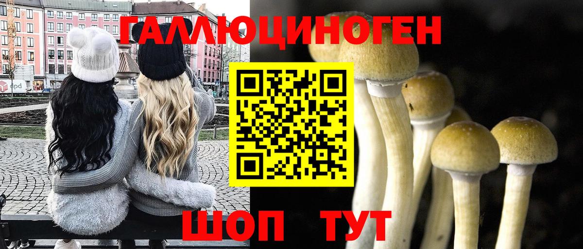где найти   Вход с VPN  Похвистнево  Галлюциногенные грибы Psilocybine cubensis 